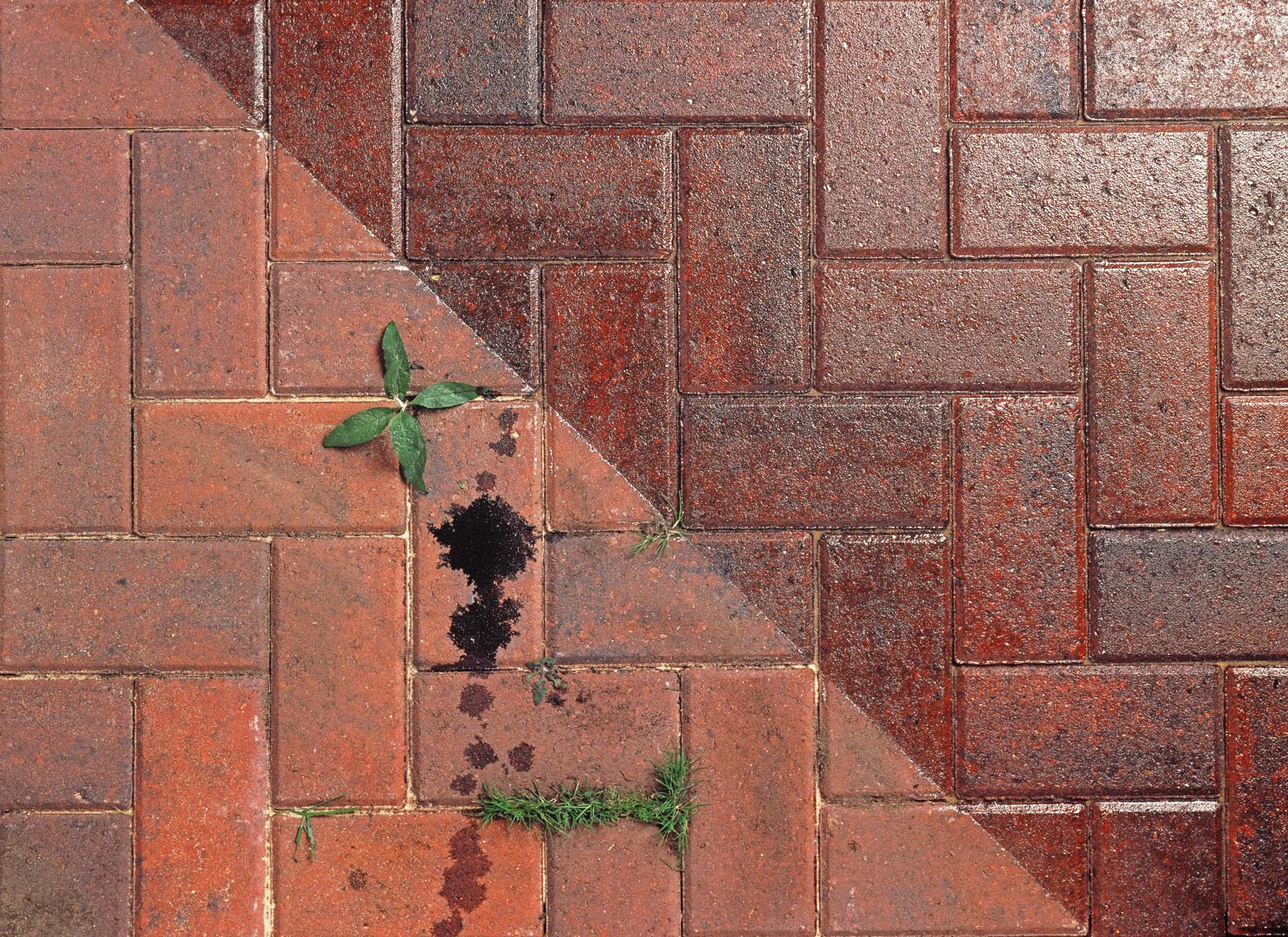 Specialist Block Paving Sealer Suppliers and Natural Stone Suppliers